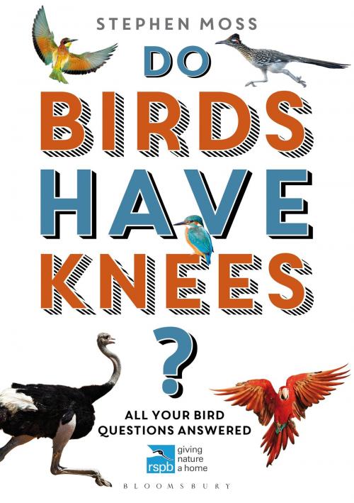 Cover of the book Do Birds Have Knees? by Mr Stephen Moss, Bloomsbury Publishing
