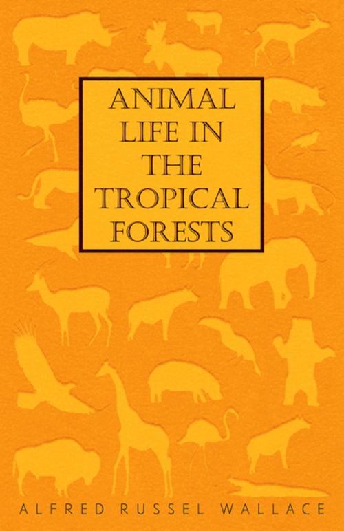 Cover of the book Animal Life in the Tropical Forests by Alfred Russel Wallace, Read Books Ltd.