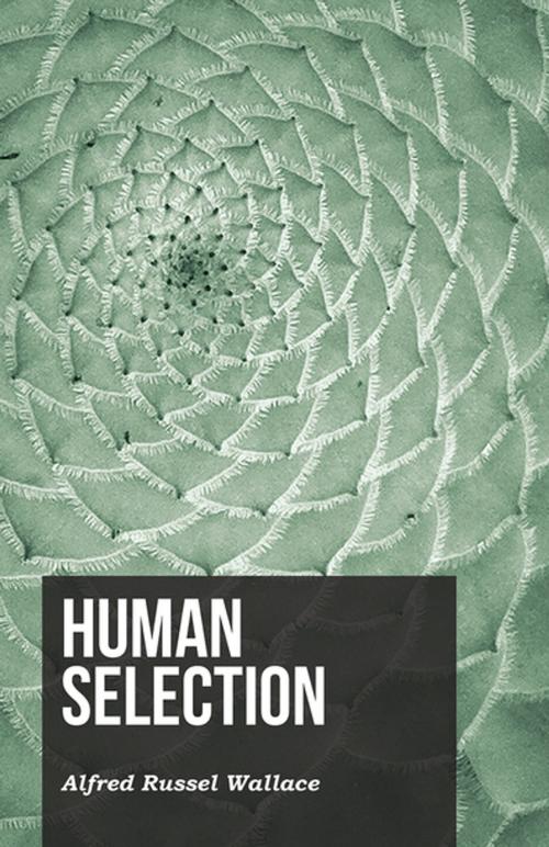 Cover of the book Human Selection by Alfred Russel Wallace, Read Books Ltd.