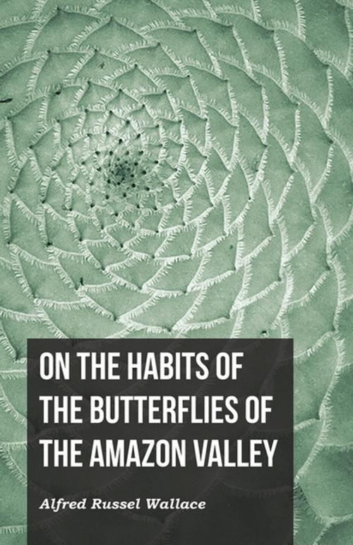 Cover of the book On the Habits of the Butterflies of the Amazon Valley by Alfred Russel Wallace, Read Books Ltd.
