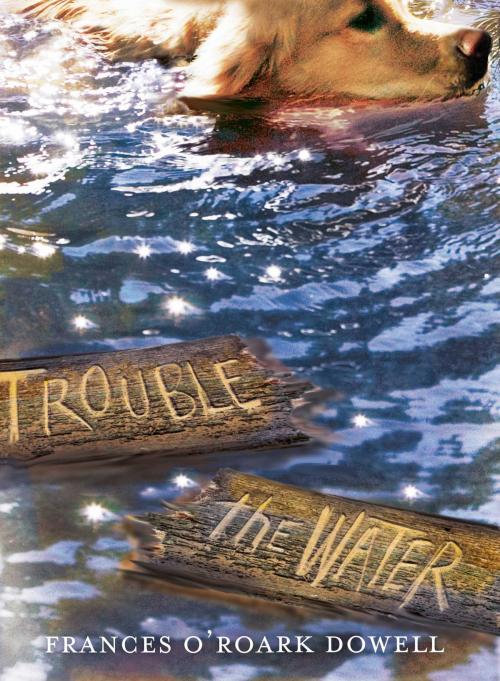 Cover of the book Trouble the Water by Frances O'Roark Dowell, Atheneum/Caitlyn Dlouhy Books