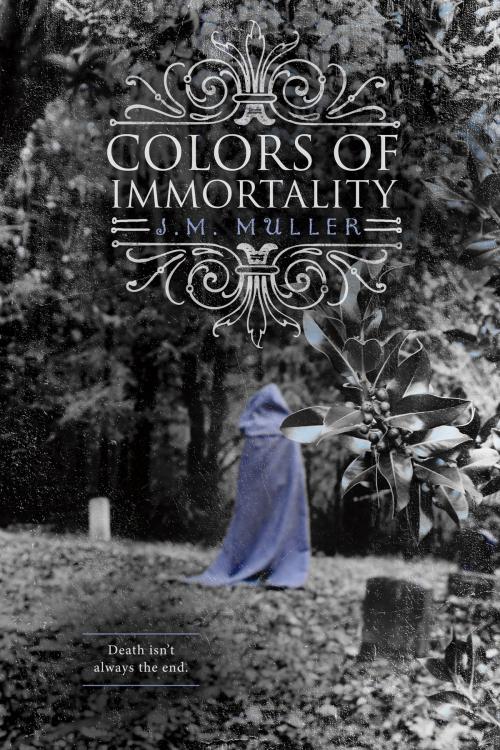 Cover of the book Colors of Immortality by J.M. Muller, BookBaby