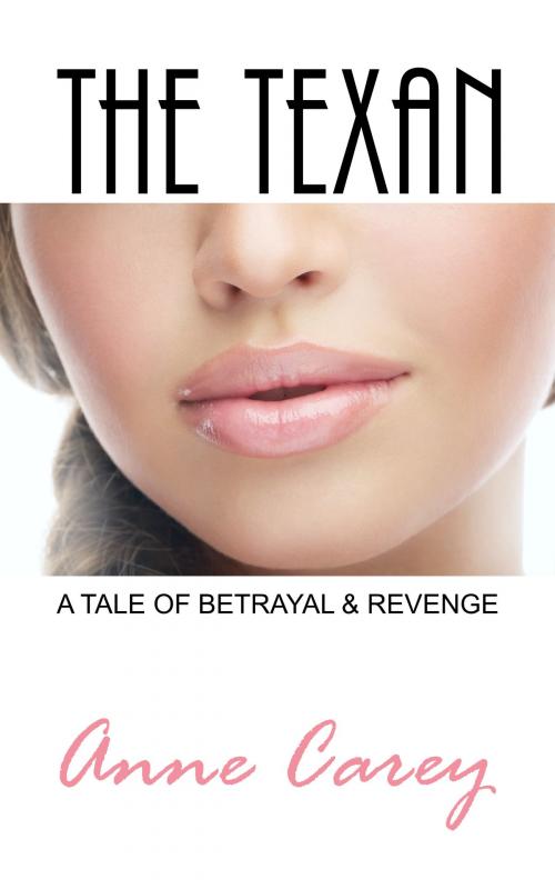 Cover of the book The Texan by Anne Carey, BookBaby
