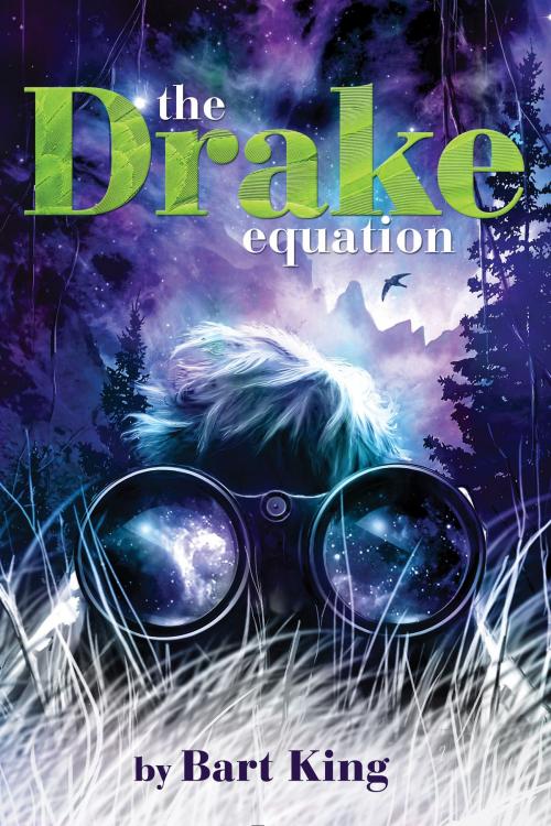 Cover of the book The Drake Equation by Bart King, Disney Book Group