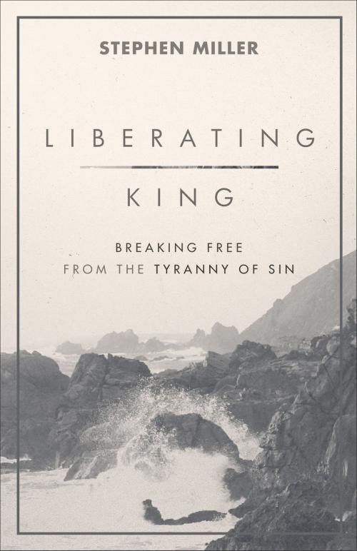 Cover of the book Liberating King by Stephen Miller, Baker Publishing Group