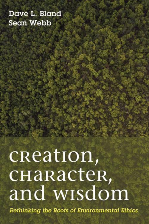 Cover of the book Creation, Character, and Wisdom by Dave Bland, Sean Patrick Webb, Wipf and Stock Publishers