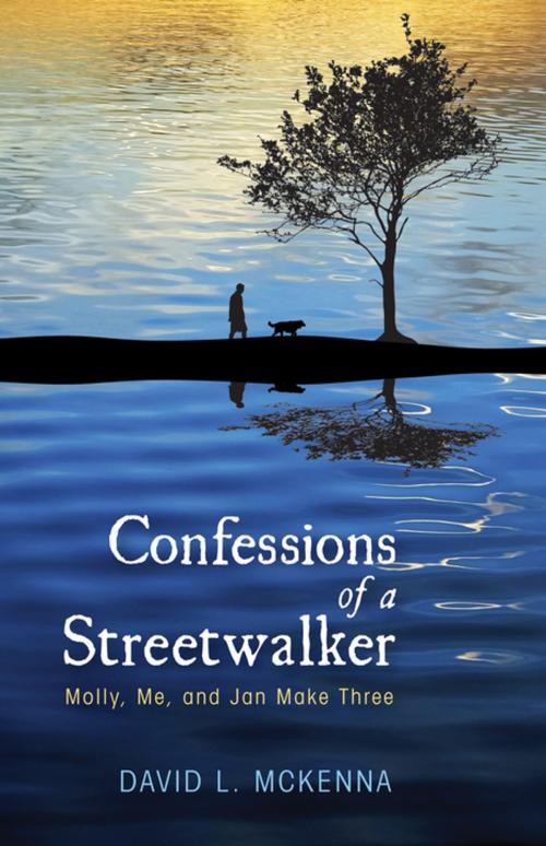 Cover of the book Confessions of a Streetwalker by David L. McKenna, Wipf and Stock Publishers