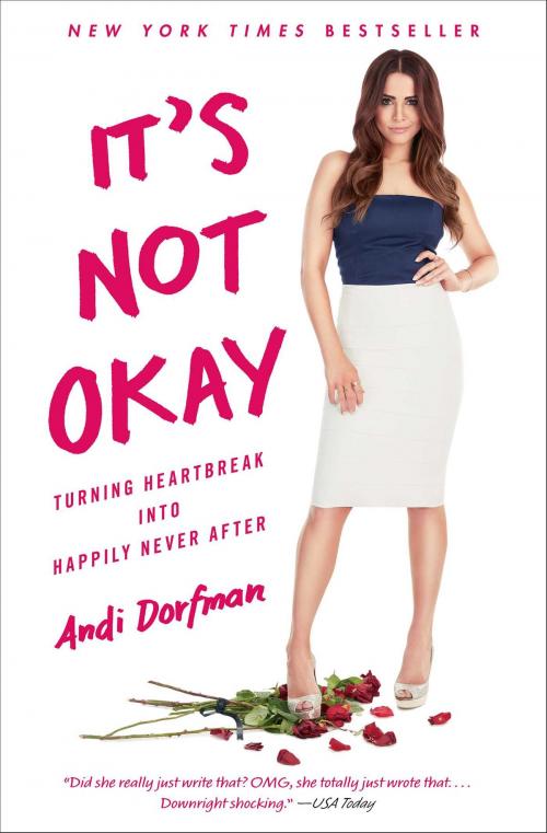 Cover of the book It's Not Okay by Andi Dorfman, Gallery Books