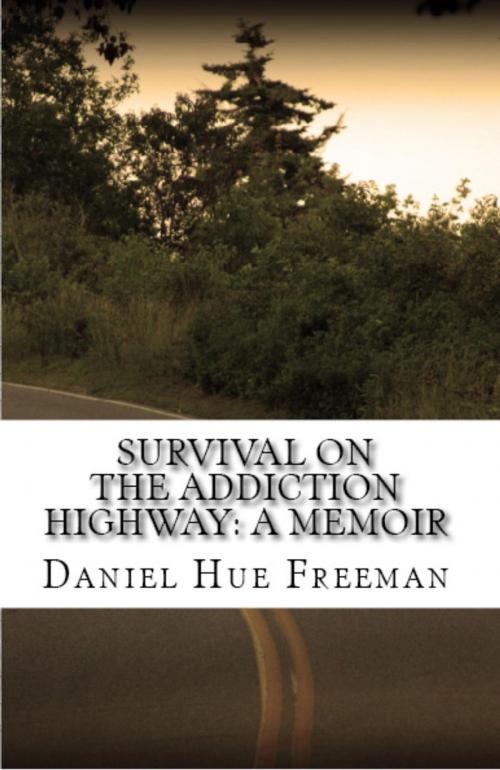 Cover of the book Survival On The Addiction Highway by Daniel Hue Freeman, Daniel Hue Freeman