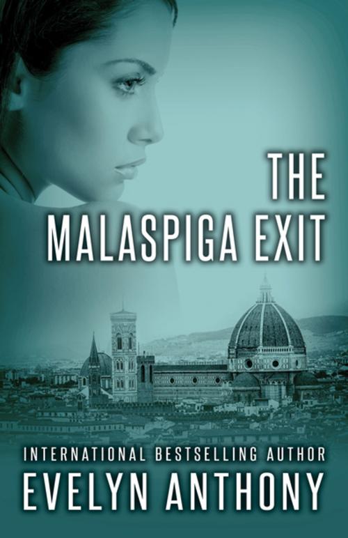 Cover of the book The Malaspiga Exit by Evelyn Anthony, Open Road Distribution