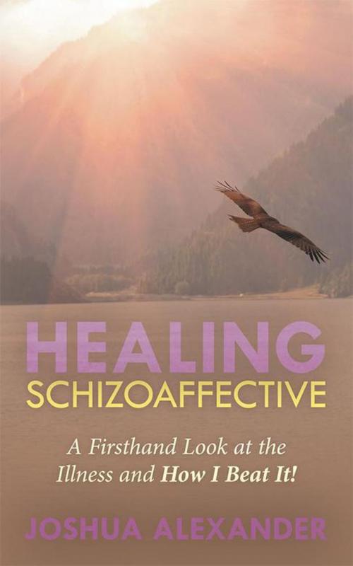Cover of the book Healing Schizoaffective by Joshua Alexander, Balboa Press