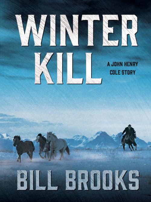 Cover of the book Winter Kill by Bill Brooks, Blackstone Publishing