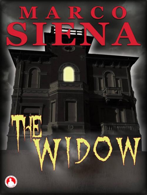 Cover of the book The Widow by Marco Siena, Babelcube Inc.