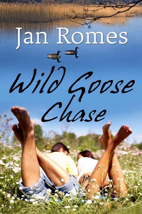 Cover of the book Wild Goose Chase by Jan  Romes, The Wild Rose Press, Inc.