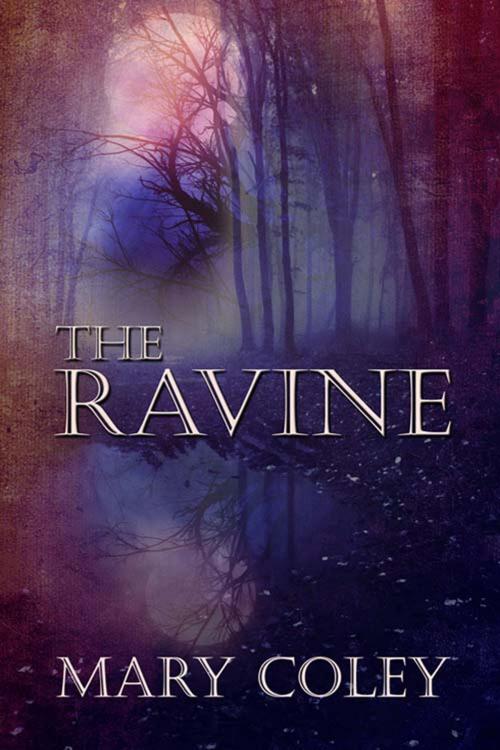 Cover of the book The Ravine by Mary  Coley, The Wild Rose Press, Inc.
