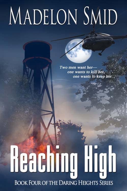 Cover of the book Reaching High by Madelon  Smid, The Wild Rose Press, Inc.