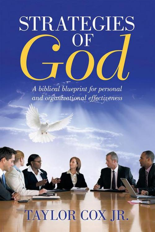 Cover of the book Strategies of God by Taylor Cox Jr., WestBow Press