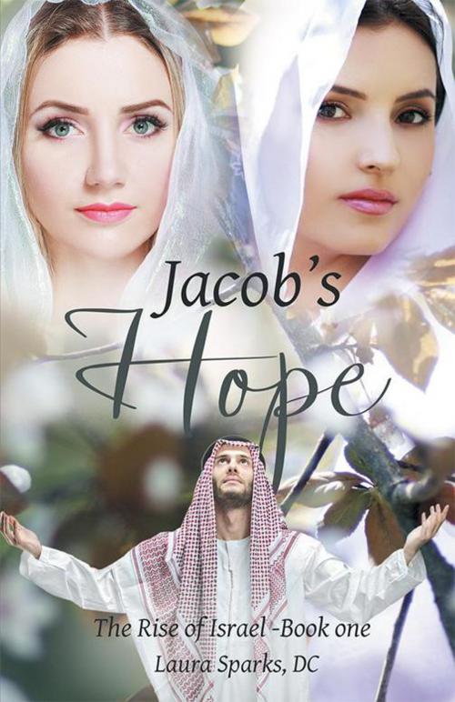 Cover of the book Jacob's Hope by Laura Sparks DC, WestBow Press