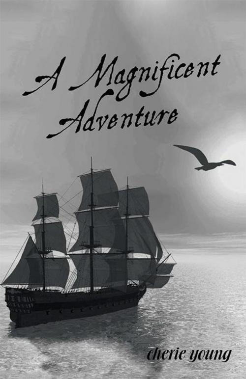 Cover of the book A Magnificent Adventure by Cherie Young, WestBow Press