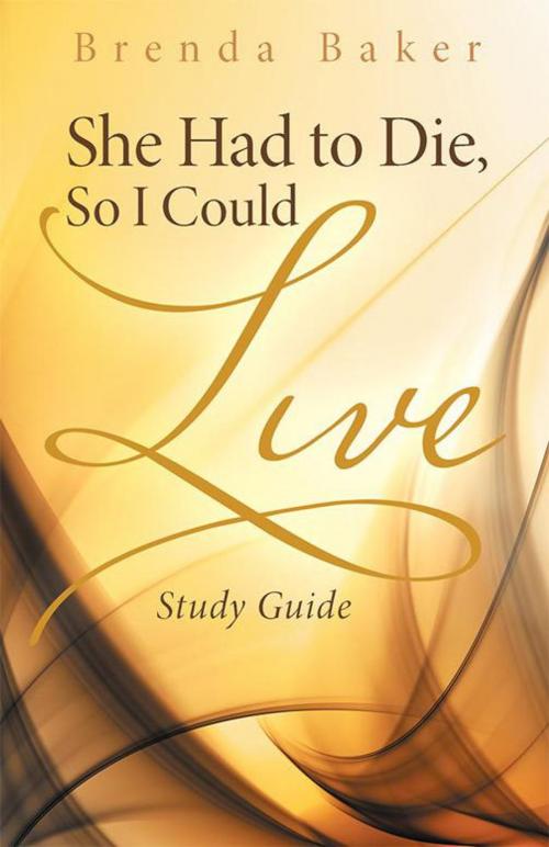 Cover of the book She Had to Die, so I Could Live by Brenda Baker, WestBow Press