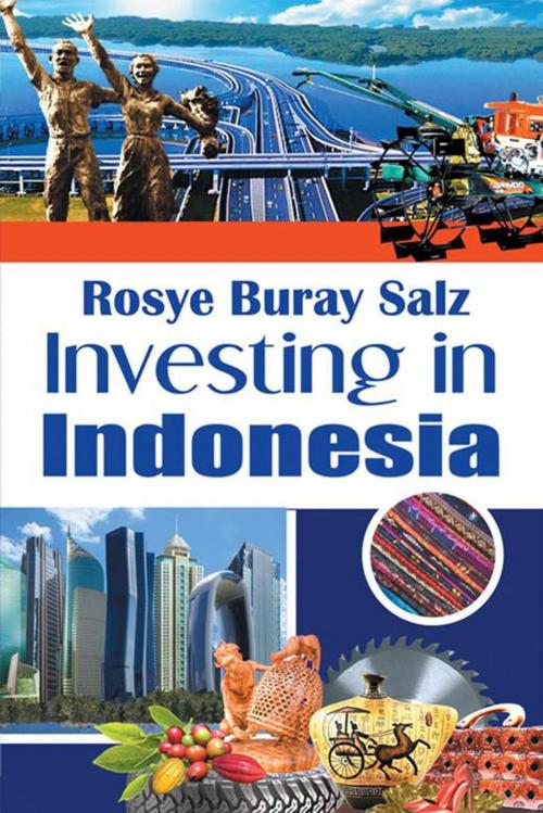 Cover of the book Investing in Indonesia by Rosye Buray Salz, Xlibris US