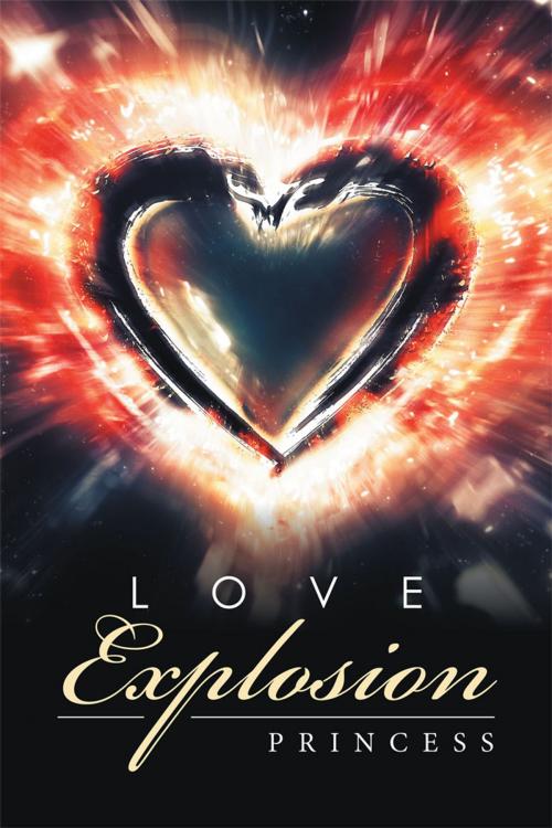 Cover of the book Love Explosion by Princess, Xlibris US