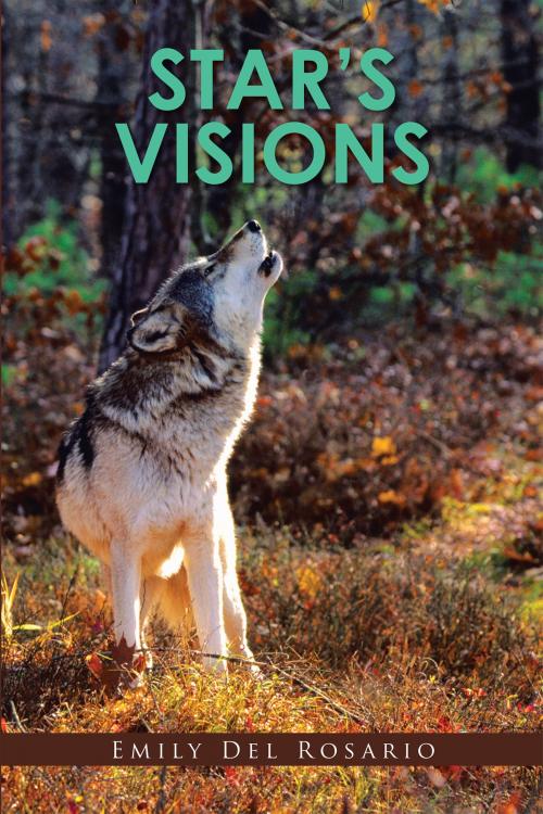 Cover of the book Star's Visions by Emily Del Rosario, Xlibris US