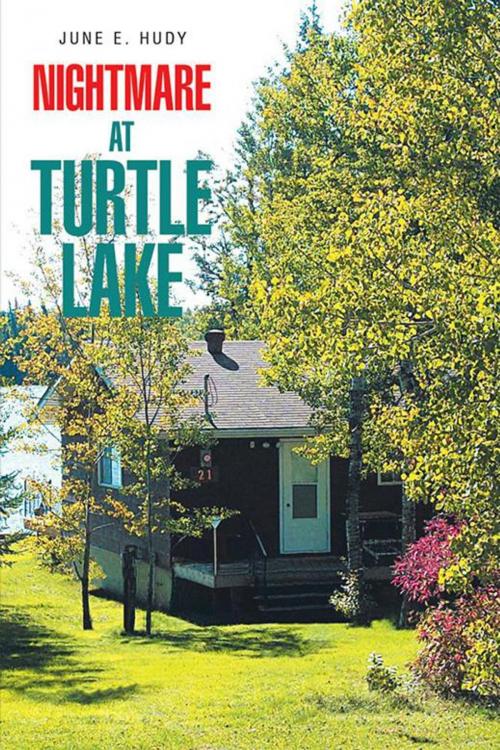 Cover of the book Nightmare at Turtle Lake by June E. Hudy, Xlibris US