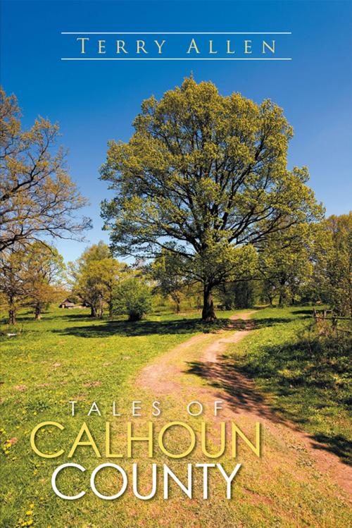 Cover of the book Tales of Calhoun County by Terry Allen, Xlibris US