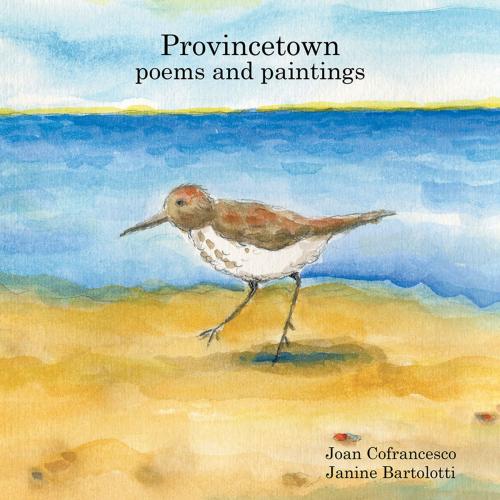 Cover of the book Provincetown Poems and Paintings by Joan Cofrancesco, AuthorHouse