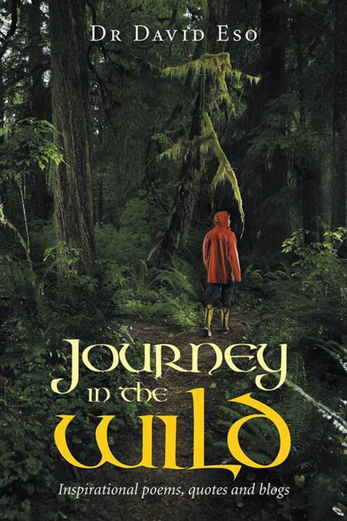 Cover of the book Journey in the Wild by David Eso, AuthorHouse UK