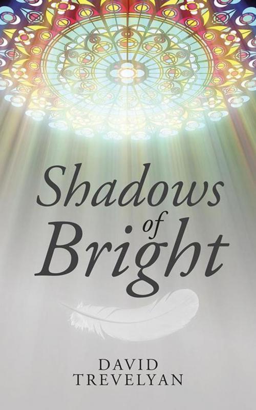 Cover of the book Shadows of Bright by David Trevelyan, AuthorHouse UK