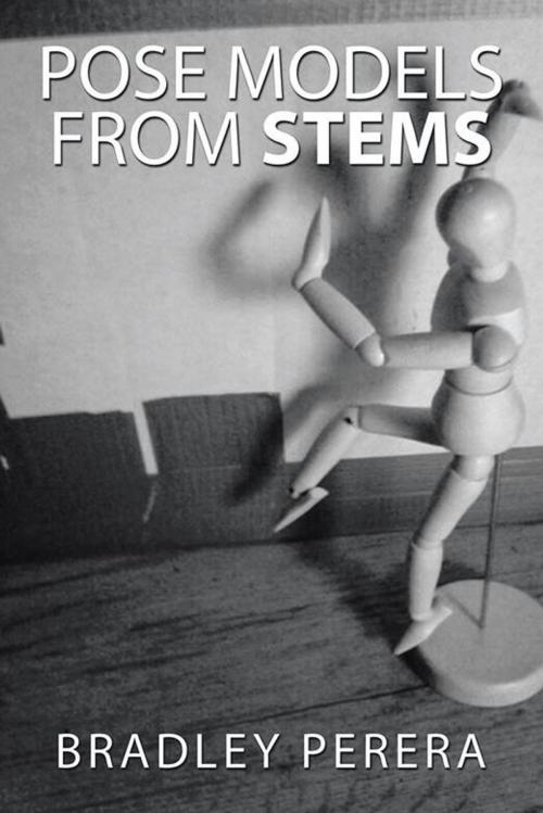 Cover of the book Pose Models from Stems by Bradley Perera, AuthorHouse UK