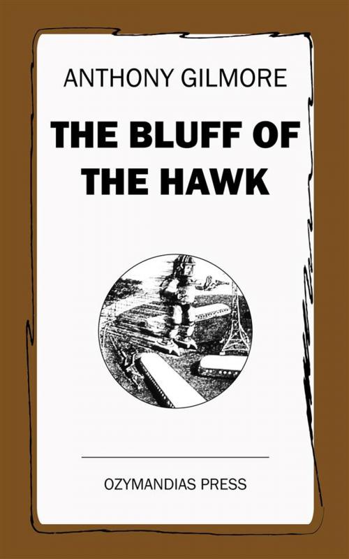 Cover of the book The Bluff of the Hawk by Anthony Gilmore, Ozymandias Press