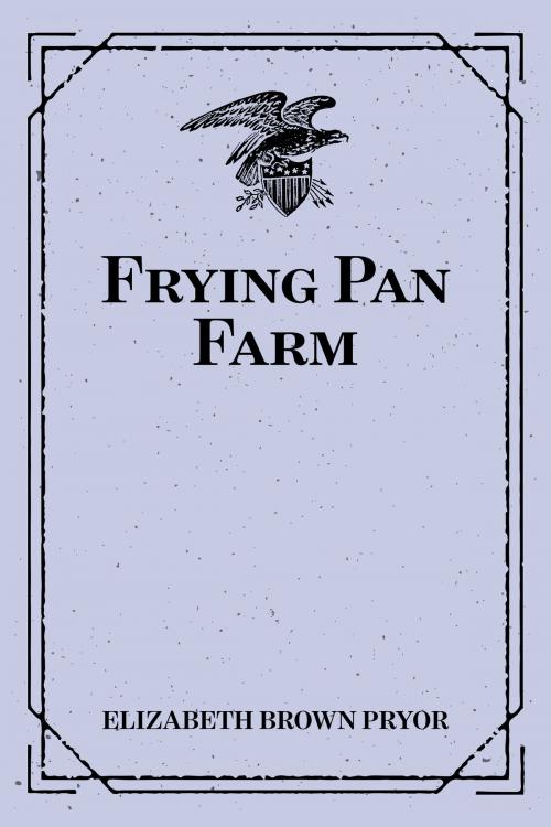 Cover of the book Frying Pan Farm by Elizabeth Brown Pryor, Krill Press