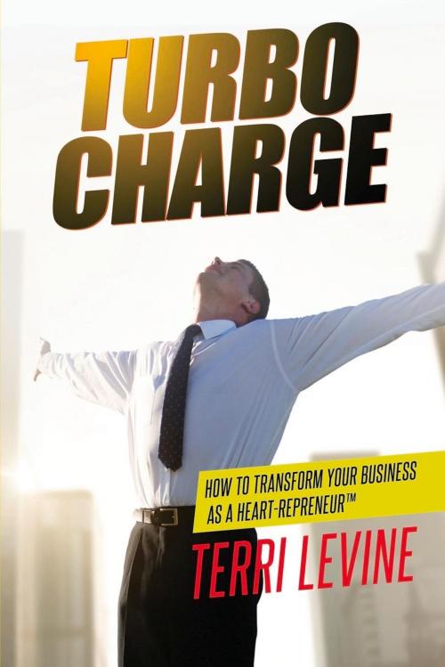 Cover of the book Turbo Charge by Terri Levine, Motivational Press