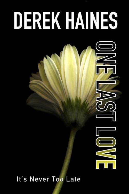 Cover of the book One Last Love by Derek Haines, Derek Haines - Switzerland