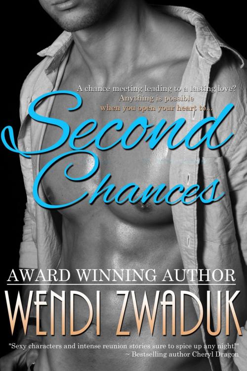 Cover of the book Second Chances by Megan Slayer, Wendi Zwaduk, Megan Slayer