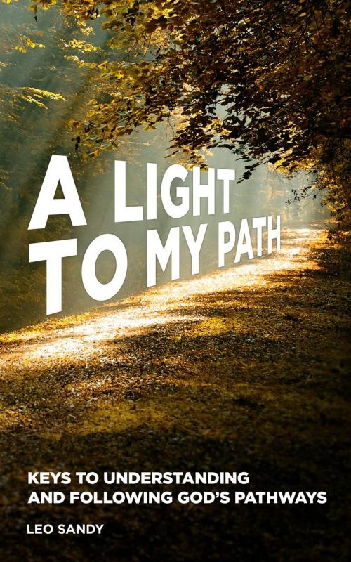 Cover of the book A Light to My Path by Leo Sandy, Leo Sandy