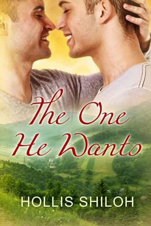 Cover of the book The One He Wants by Hollis Shiloh, Spare Words Press