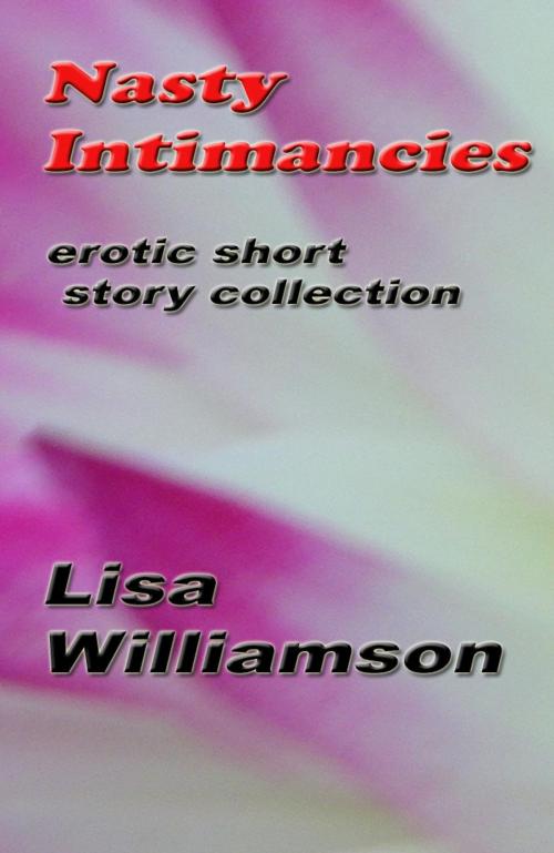 Cover of the book Nasty Intimancies by Lisa Williamson, Lisa  Williamson