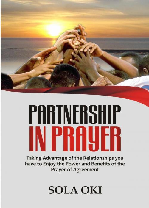 Cover of the book Partnership In Prayer by Sola Oki, Oki Olusola Bayode