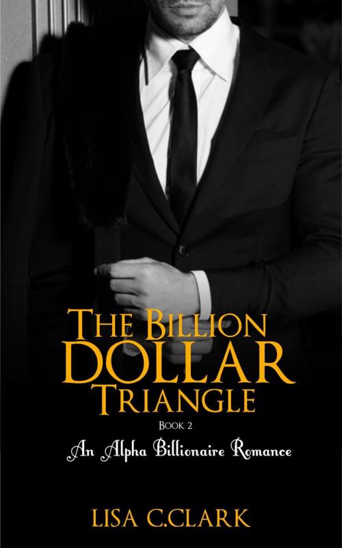 Cover of the book The Billion Dollar Triangle - Book # 2 by Lisa C.Clark, Lisa C.Clark