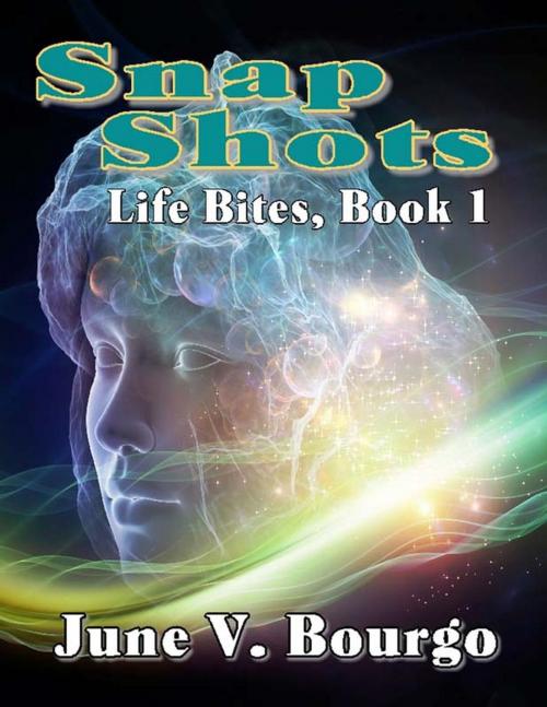 Cover of the book Snap Shots by June V. Bourgo, June Bourgo