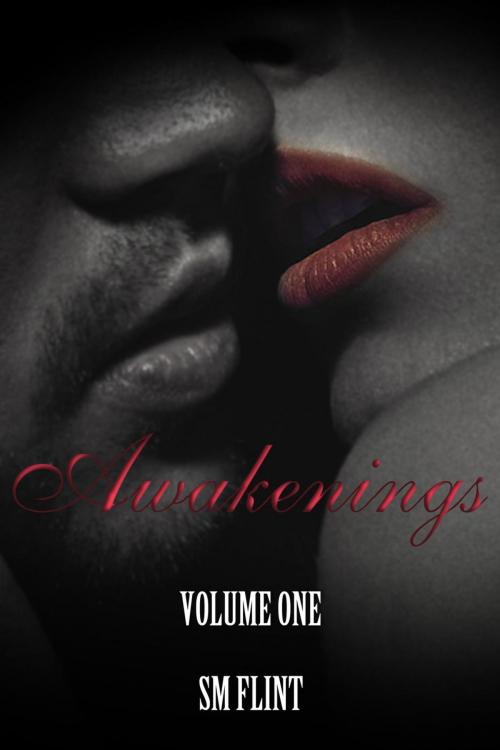 Cover of the book Awakenings Volume 1 by SM Flint, SM Flint