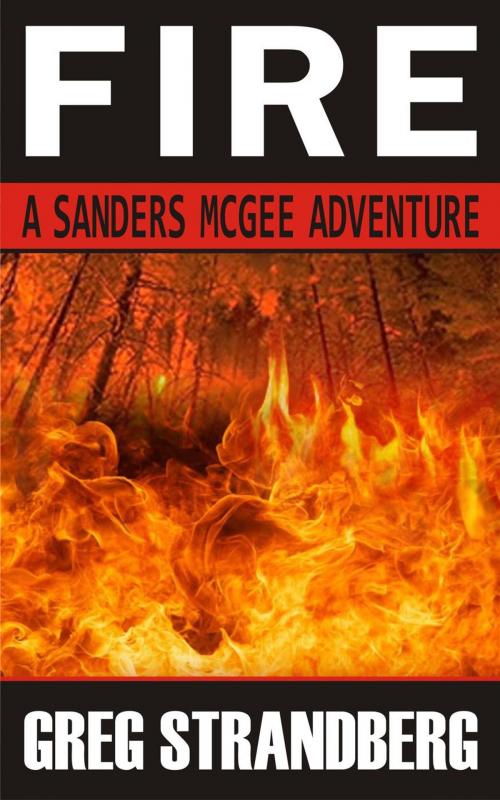 Cover of the book Fire by Greg Strandberg, Greg Strandberg