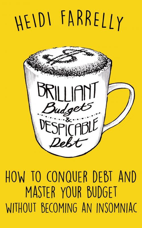 Cover of the book Brilliant Budgets & Despicable Debt by Heidi Farrelly, How 2 Without