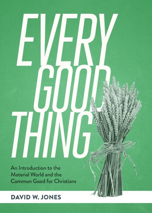 Cover of the book Every Good Thing by David W. Jones, Lexham Press