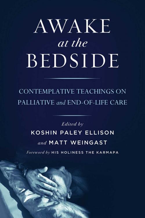 Cover of the book Awake at the Bedside by , Wisdom Publications