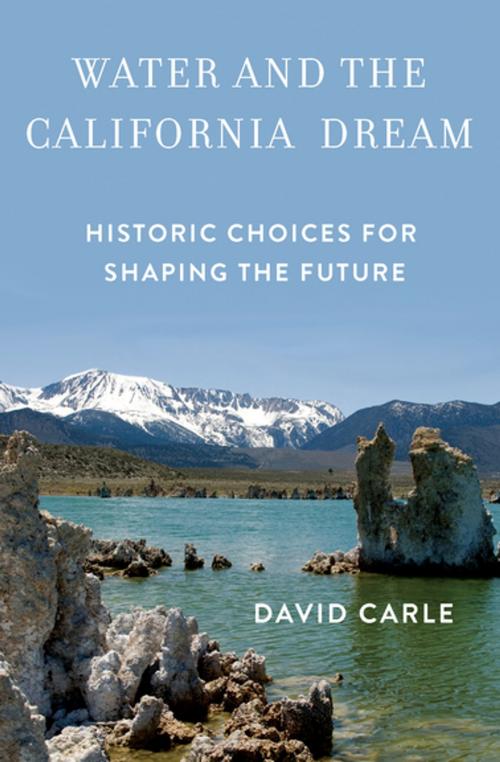Cover of the book Water and the California Dream by David Carle, Counterpoint Press
